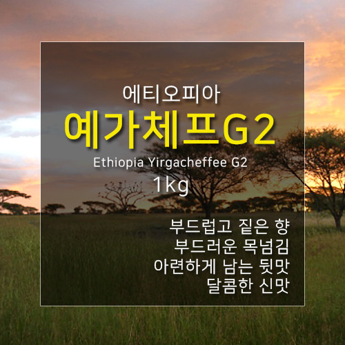 제로커피 에티오피아 예가체프G2 1kg