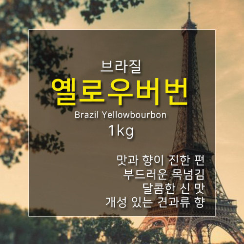 제로커피 브라질 옐로우 버번 1kg